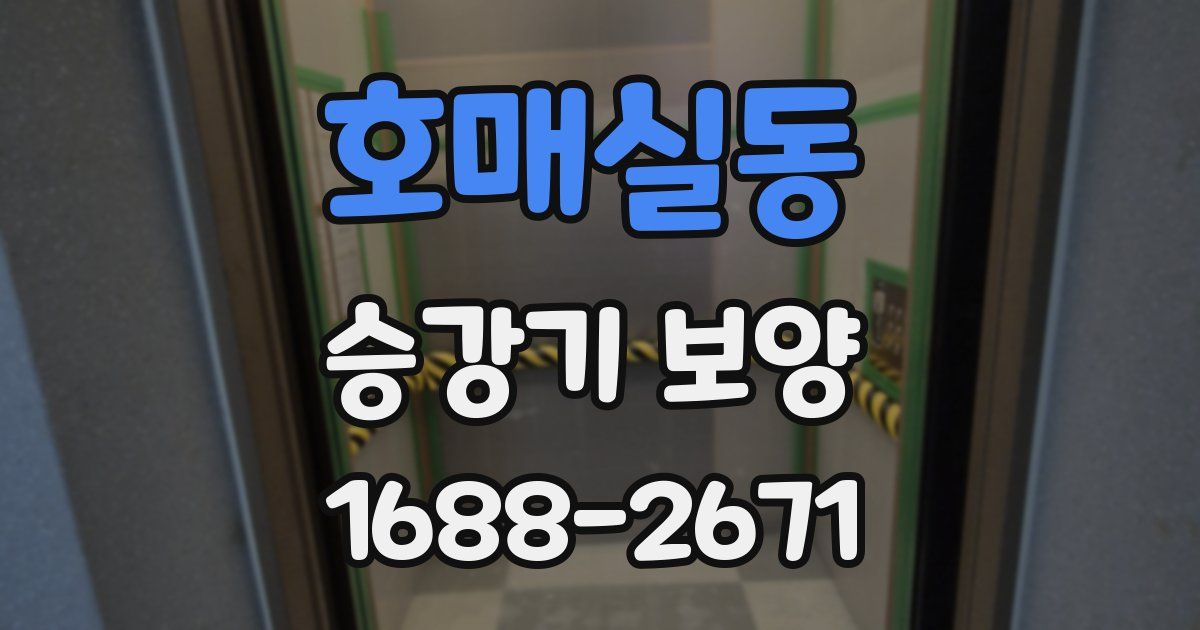 호매실동 승강기 보양