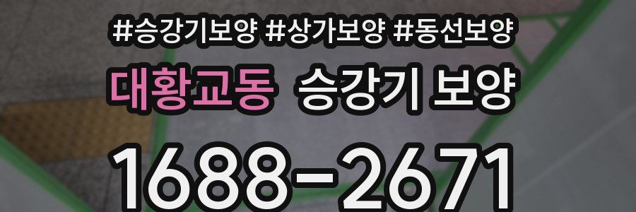 대황교동 승강기 보양