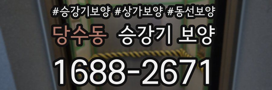 당수동 승강기 보양