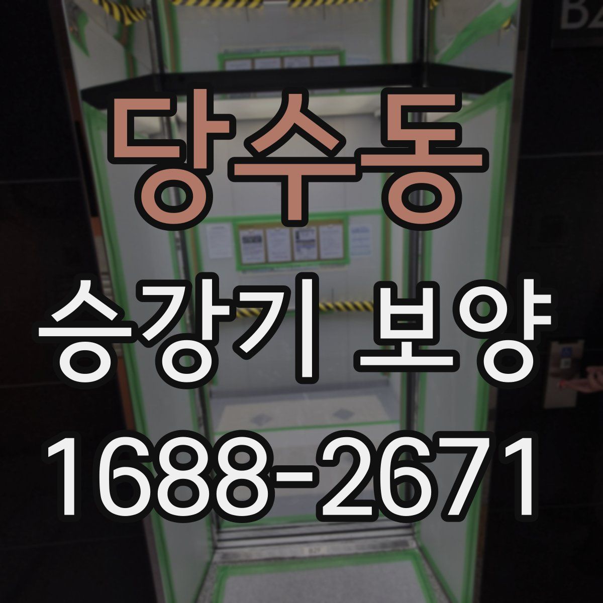 당수동 승강기 보양