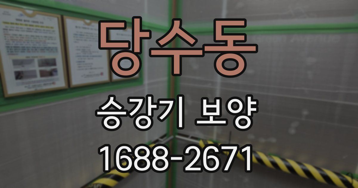 당수동 승강기 보양
