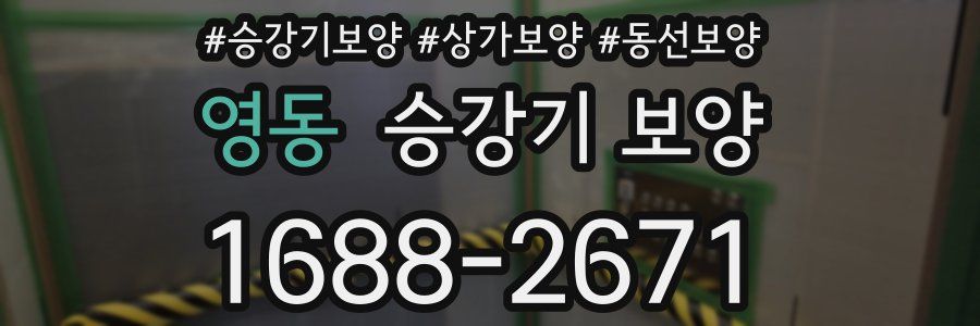 영동 승강기 보양