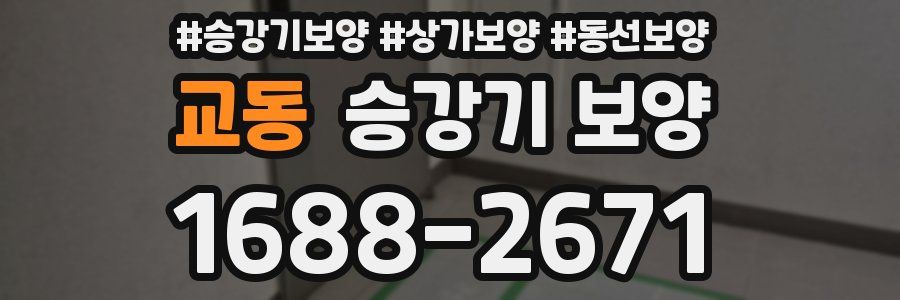 교동 승강기 보양