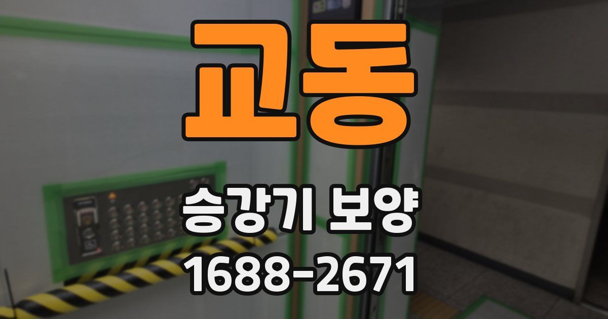교동 승강기 보양