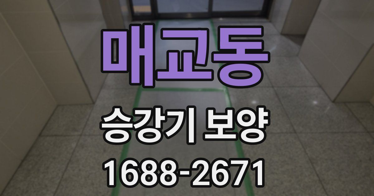 매교동 승강기 보양