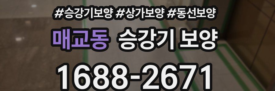 매교동 승강기 보양