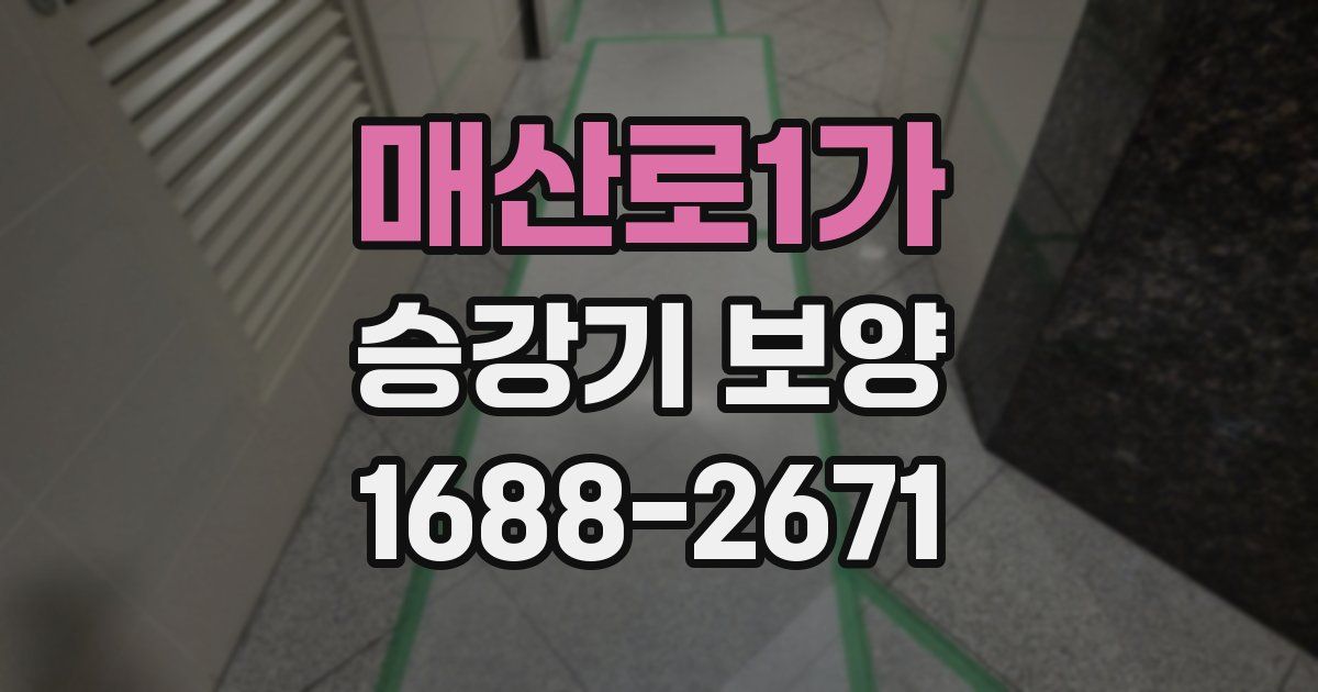 매산로1가 승강기 보양