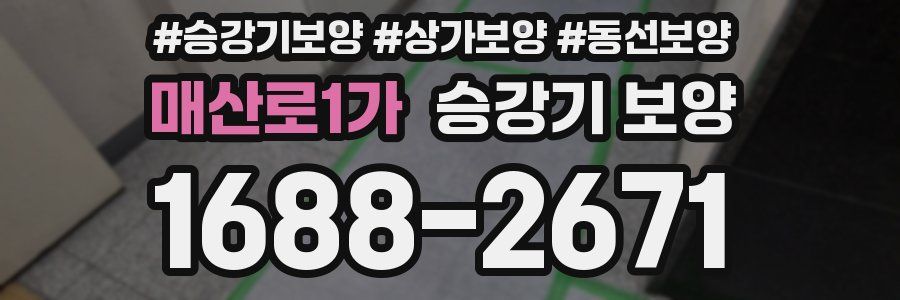 매산로1가 승강기 보양