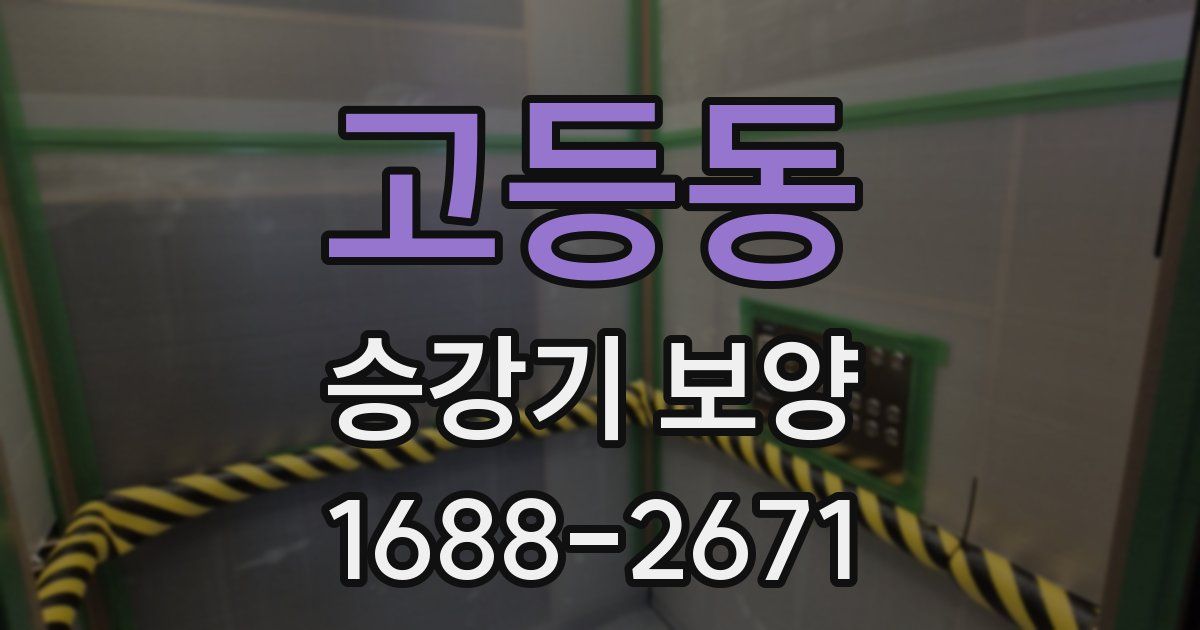 고등동 승강기 보양