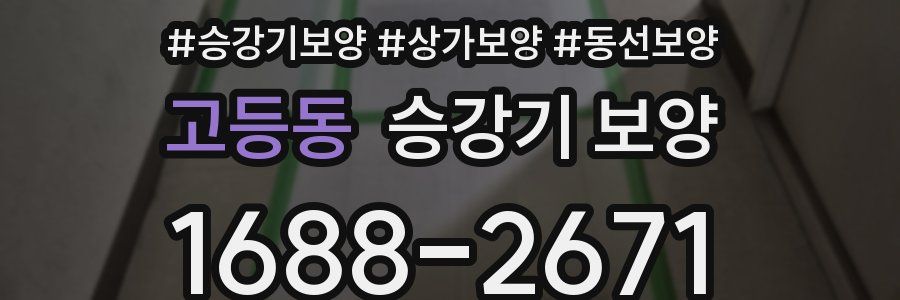 고등동 승강기 보양