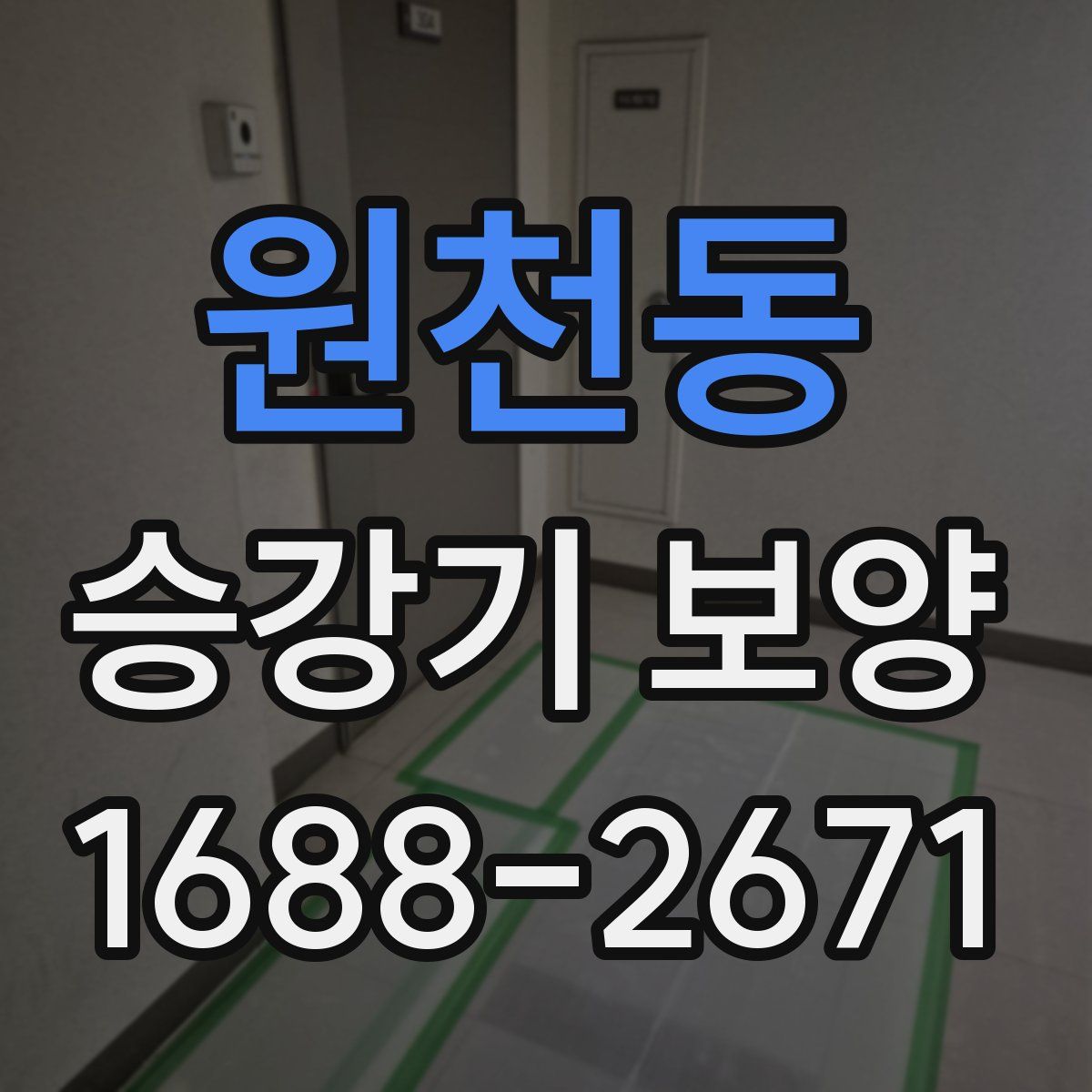 원천동 승강기 보양