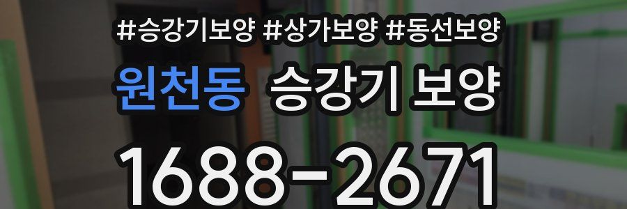원천동 승강기 보양