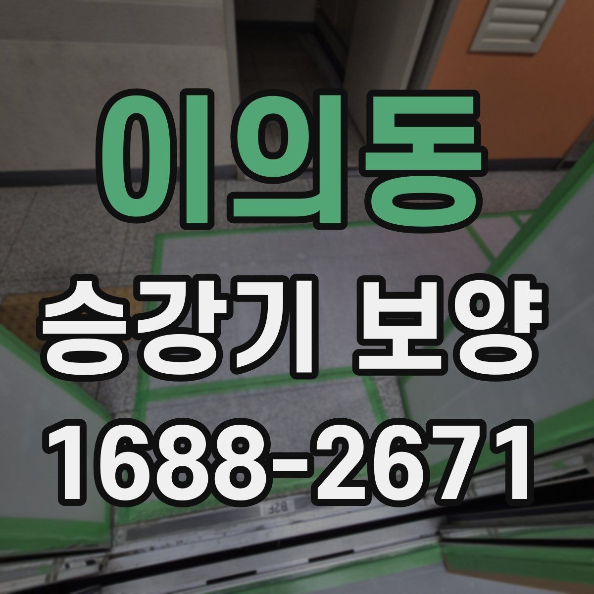 이의동 승강기 보양 품질과 안전을 함께 보는 방법