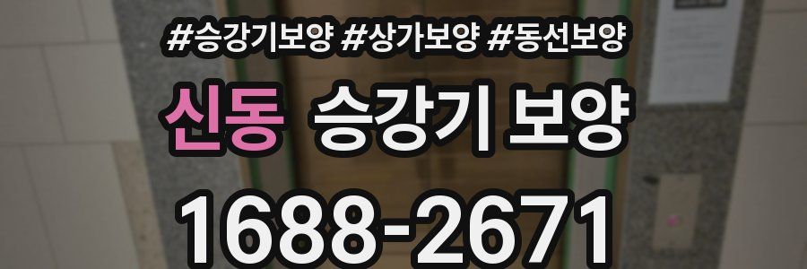 신동 승강기 보양
