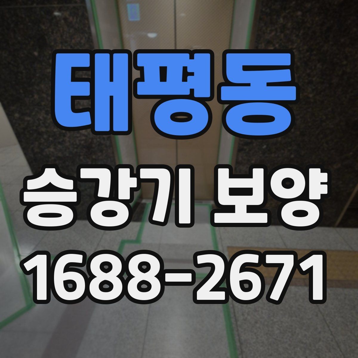 태평동 승강기 보양 시 보호 범위를 정하는 기준