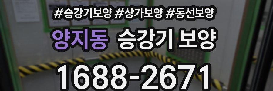 양지동 승강기 보양