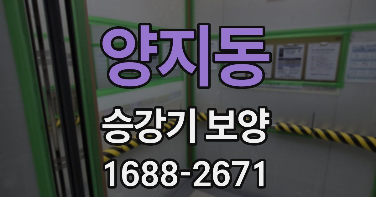 양지동 승강기 보양