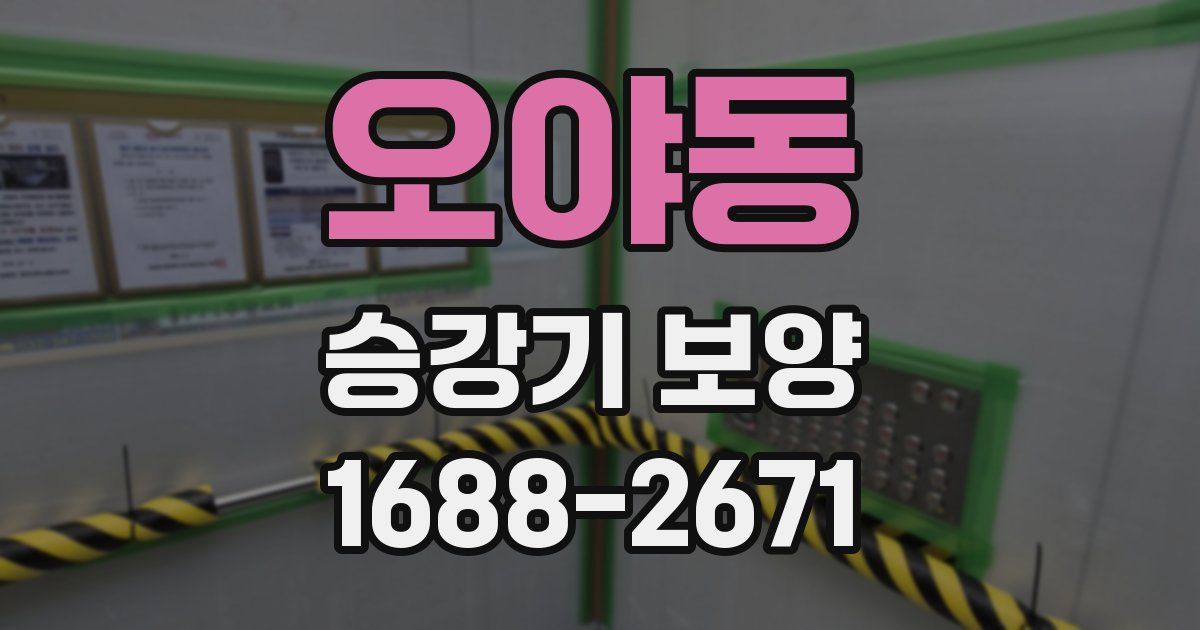 오야동 승강기 보양