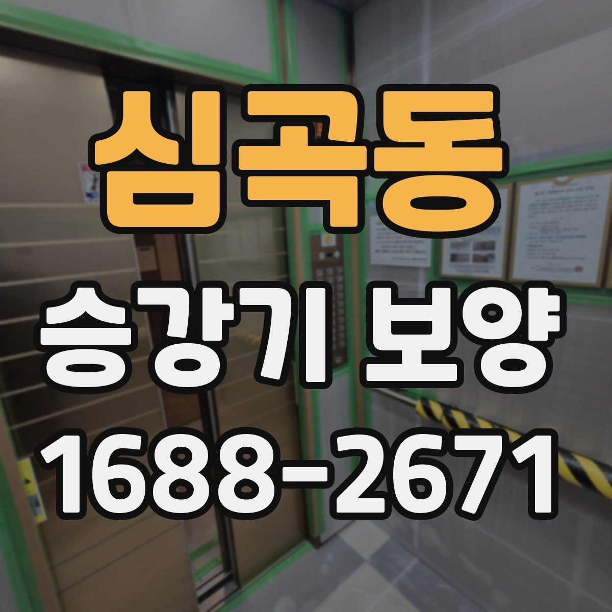 심곡동 승강기 보양 현장 사진으로 보는 진행 과정