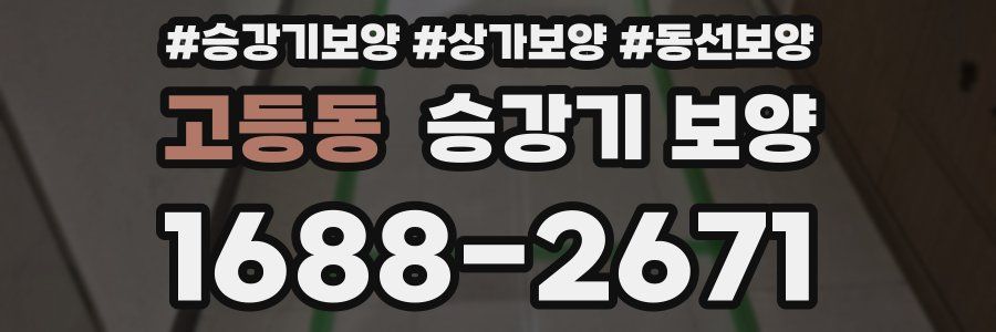 고등동 승강기 보양