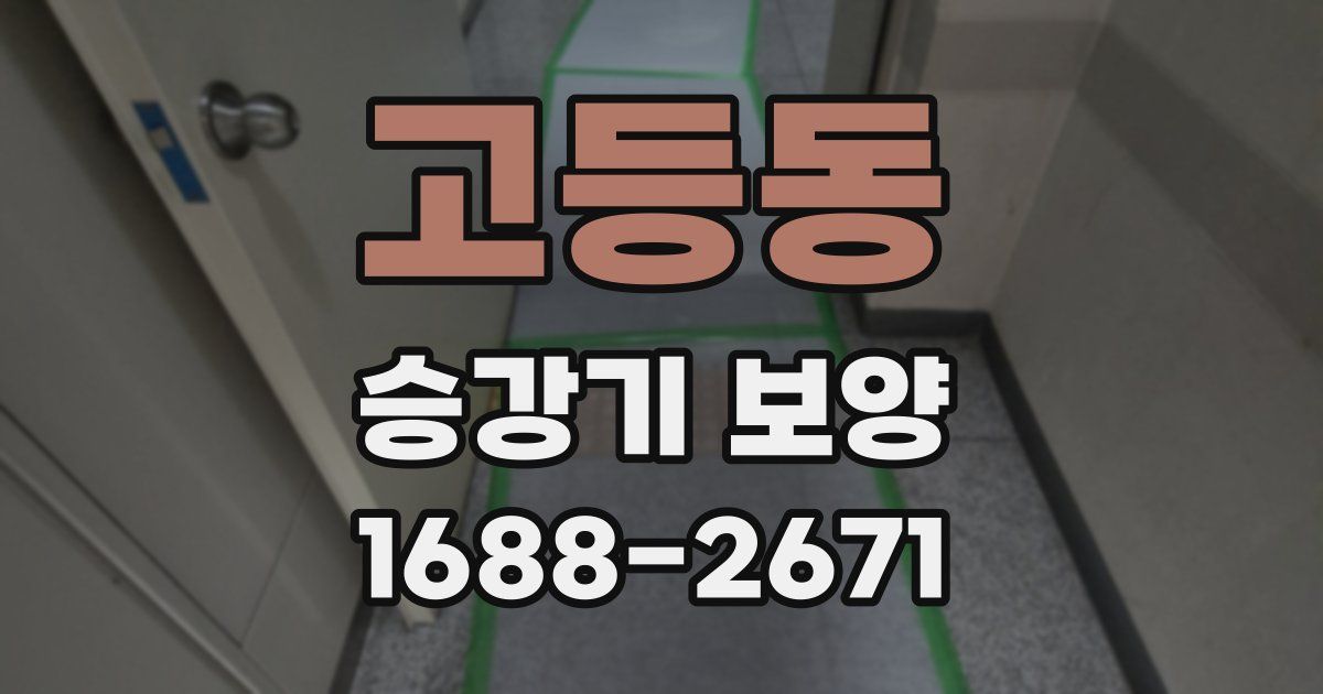 고등동 승강기 보양