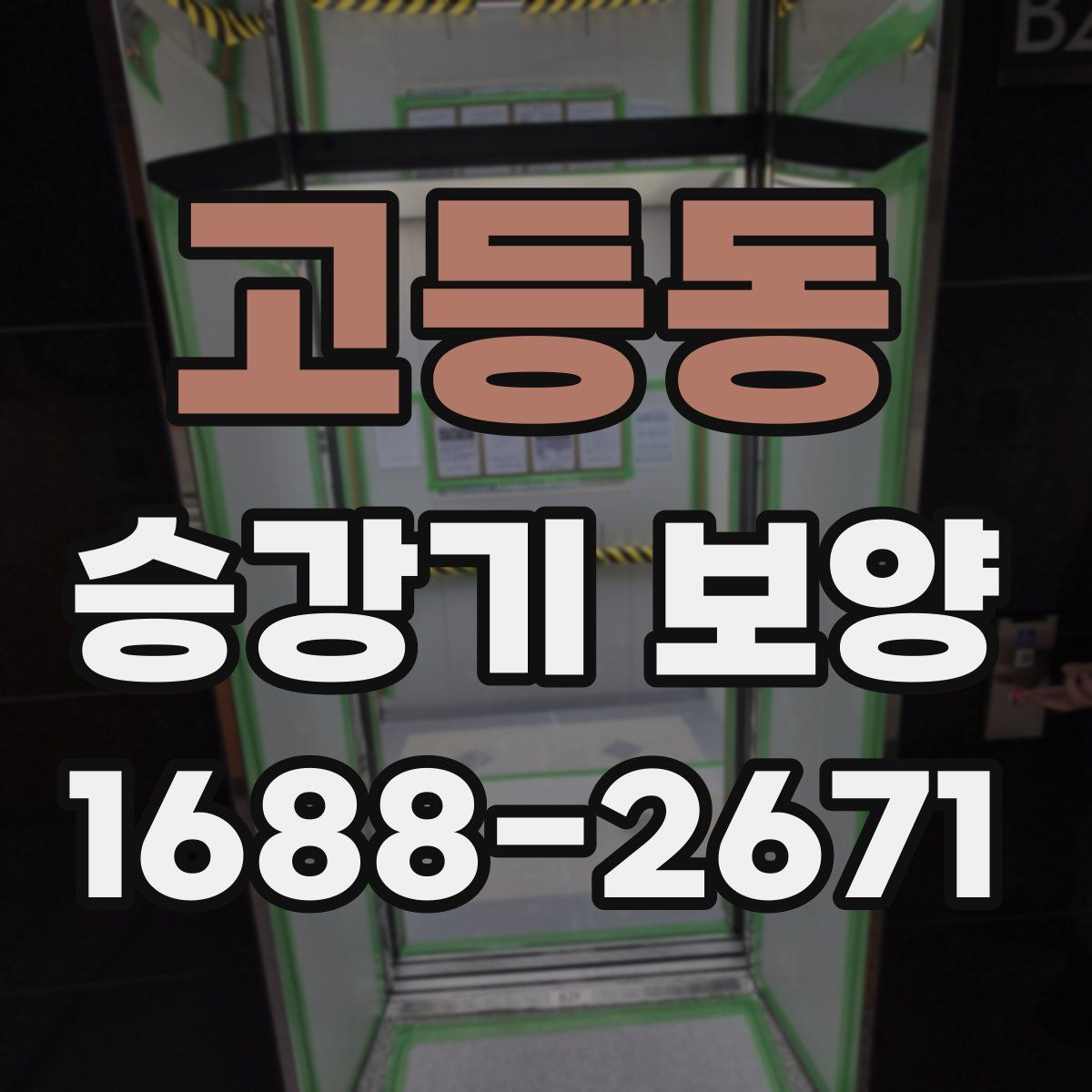 고등동 승강기 보양