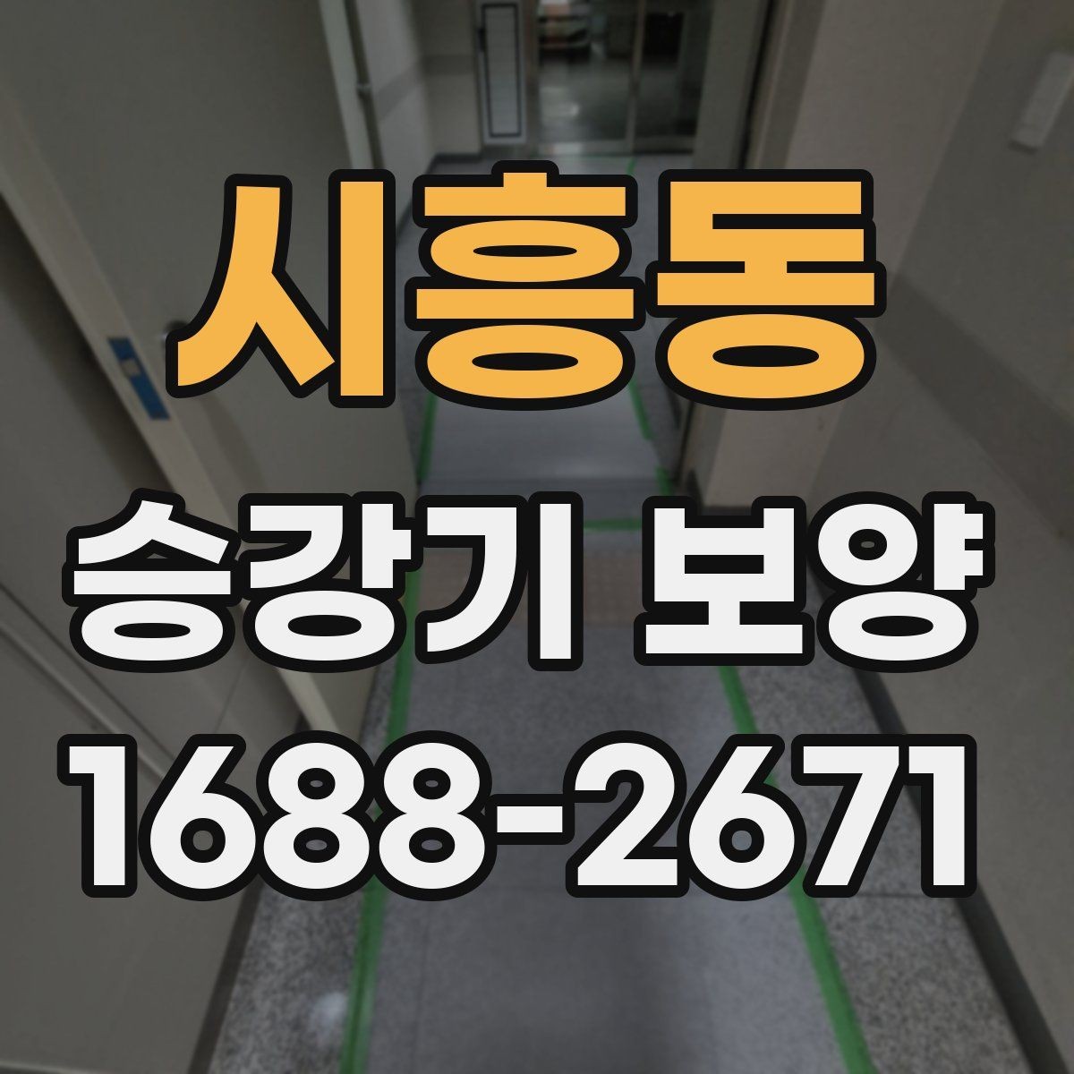 시흥동 승강기 보양 보호 구간 설정 확대가 필요한 경우