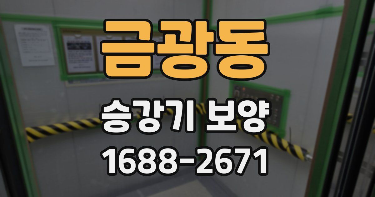 금광동 승강기 보양