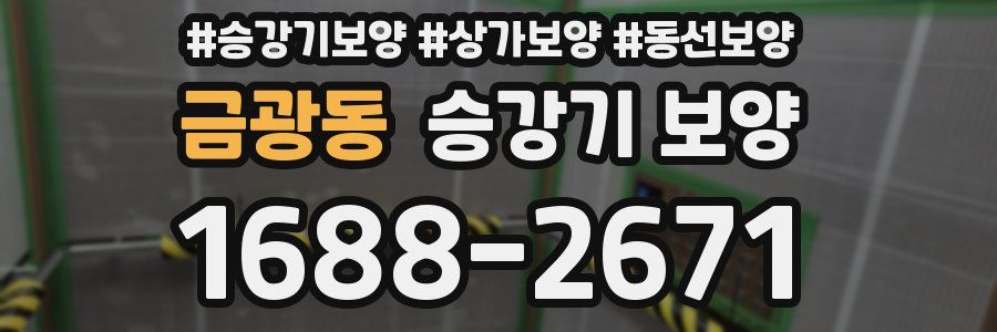 금광동 승강기 보양