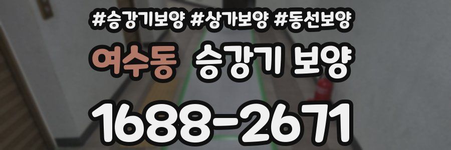 여수동 승강기 보양