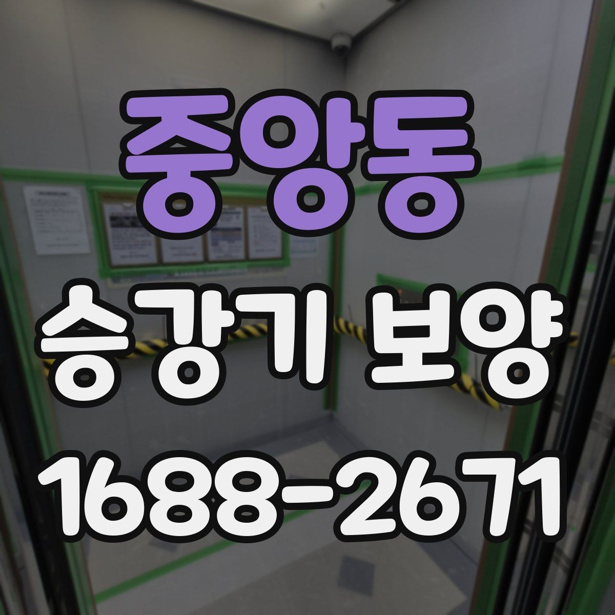중앙동 승강기 보양 현장에서 확인하는 안전과 품질