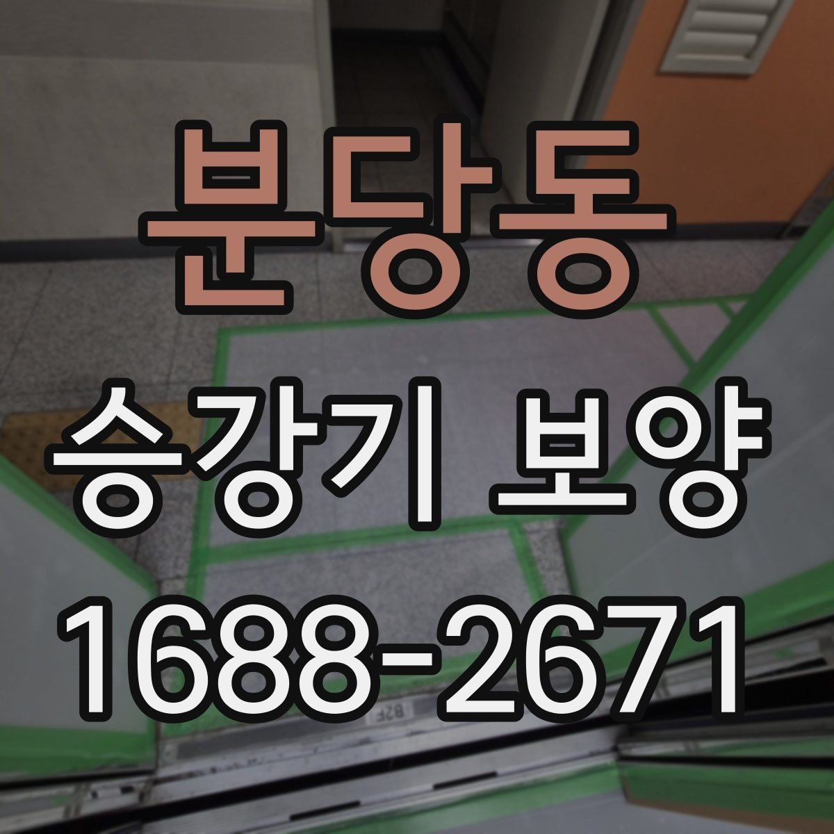 분당동 승강기 보양 작업 범위가 달라지는 경우