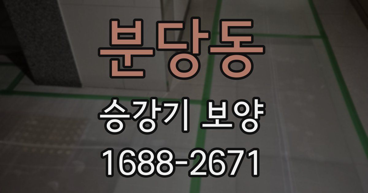 분당동 승강기 보양