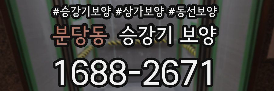 분당동 승강기 보양