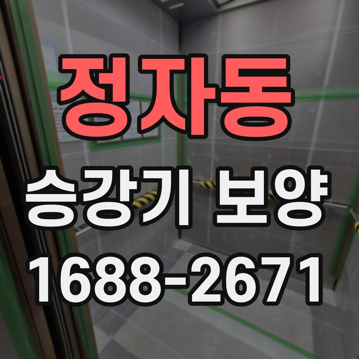 정자동 승강기 보양 과정에서 발생하는 문제와 대응