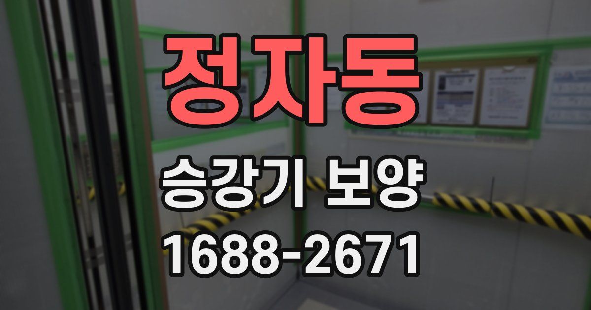 정자동 승강기 보양