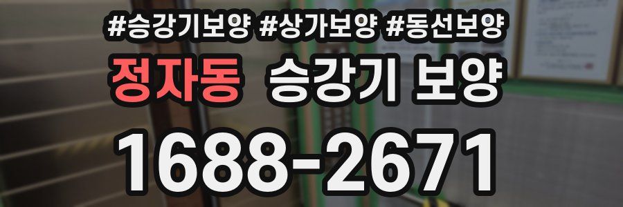 정자동 승강기 보양