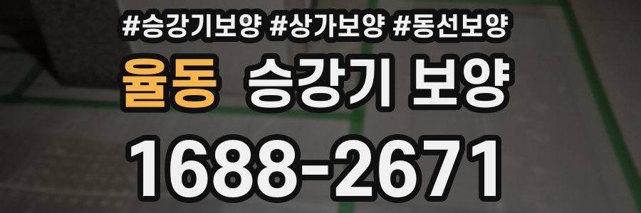 율동 승강기 보양
