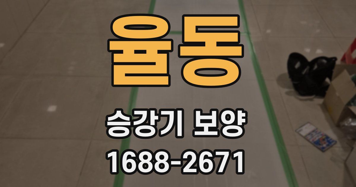 율동 승강기 보양