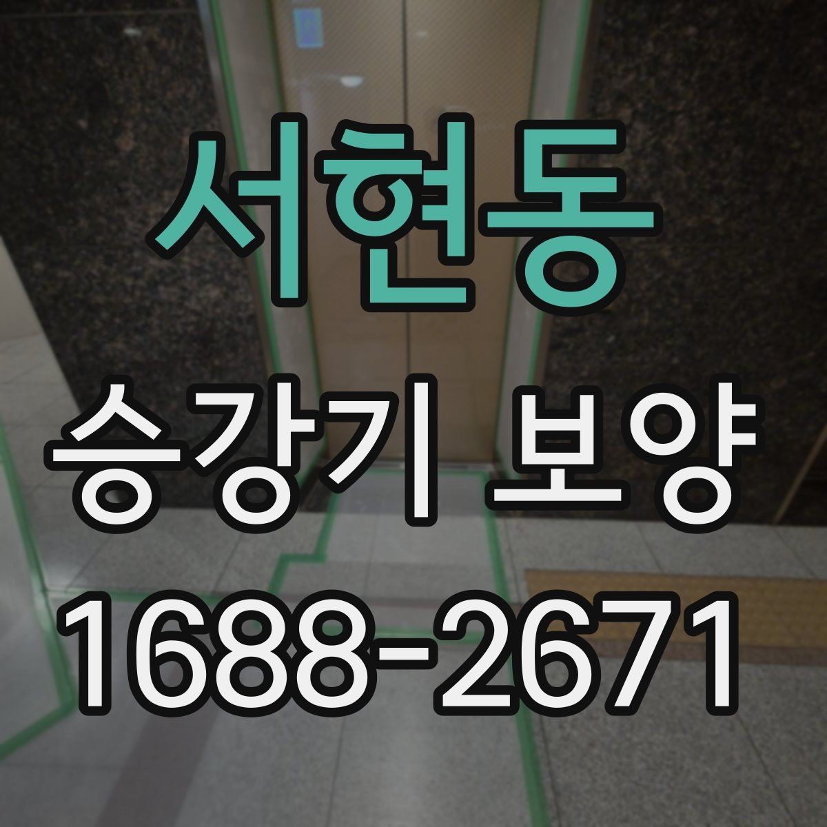 서현동 승강기 보양 대상과 범위를 정하는 기준
