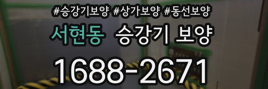 서현동 승강기 보양