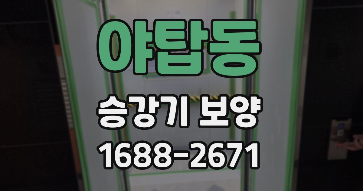 야탑동 승강기 보양