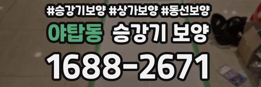 야탑동 승강기 보양