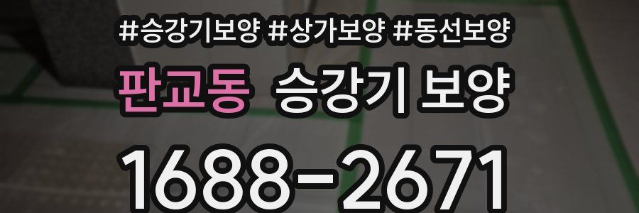 판교동 승강기 보양