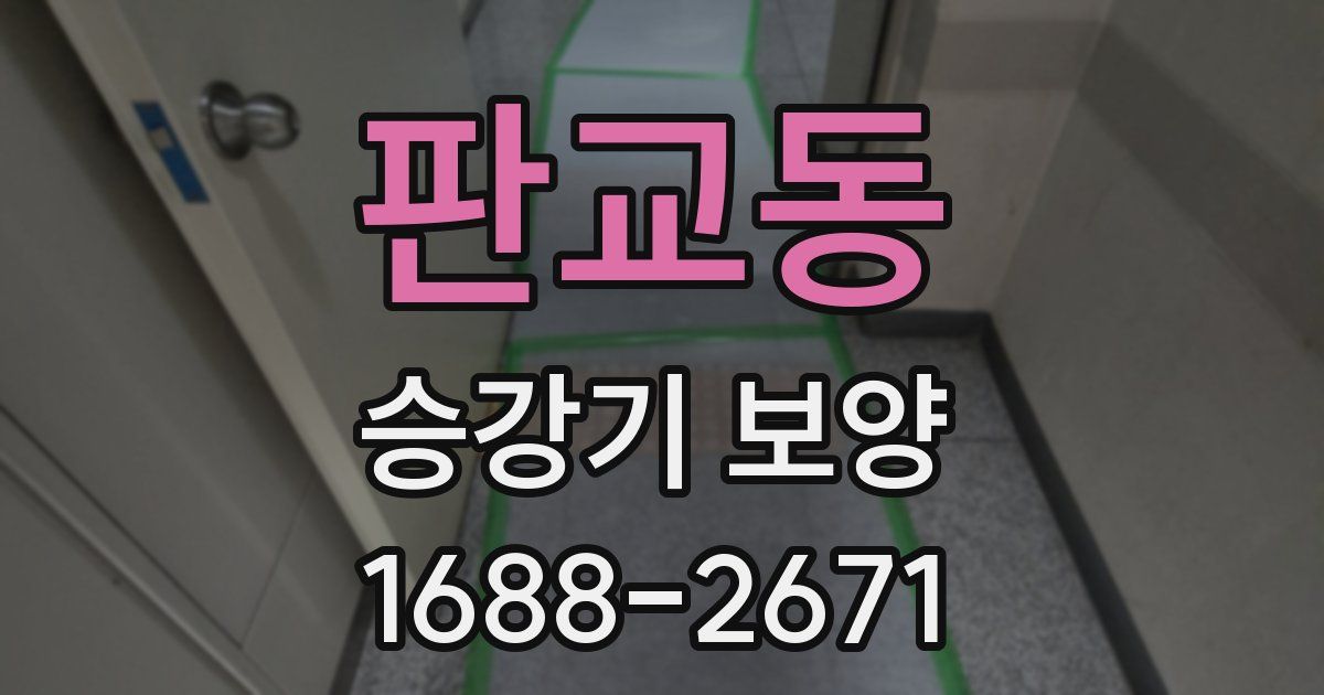 판교동 승강기 보양
