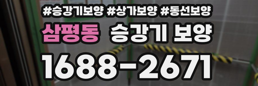 삼평동 승강기 보양