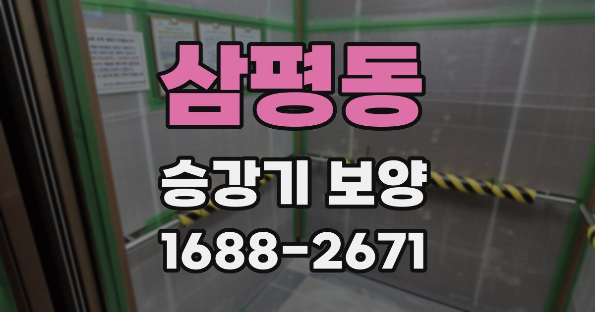삼평동 승강기 보양