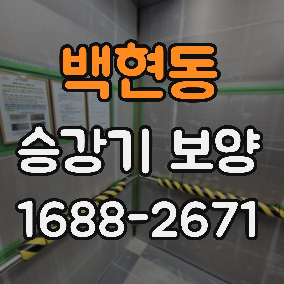 백현동 승강기 보양 공정의 핵심 포인트만 정리