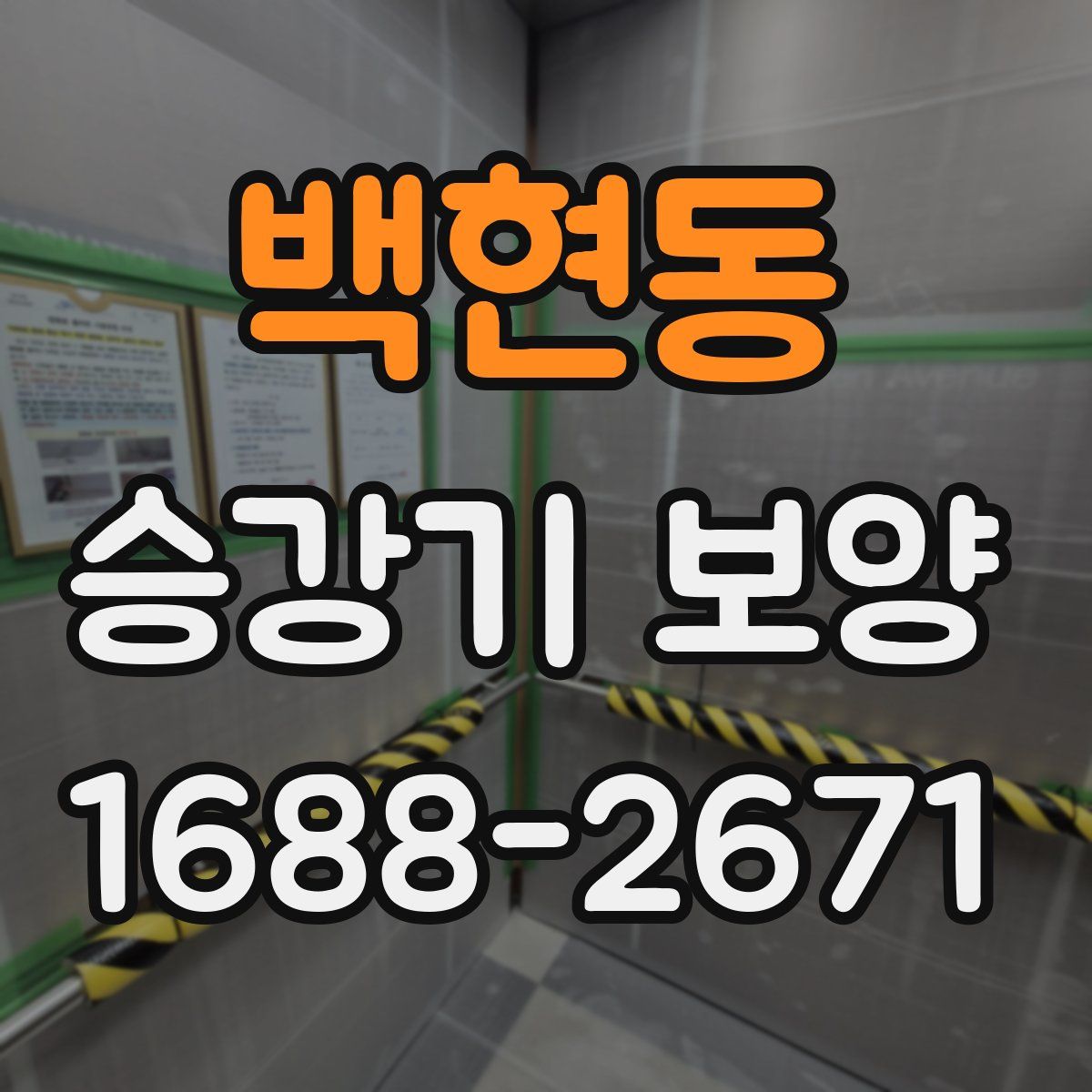백현동 승강기 보양