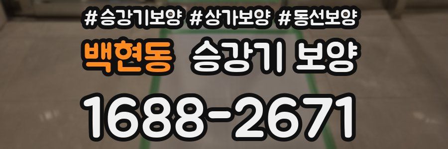 백현동 승강기 보양